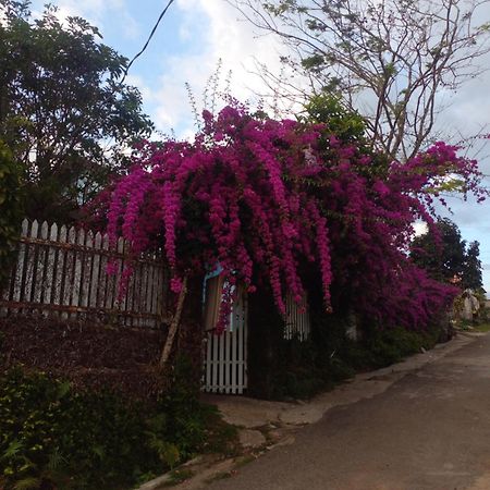 Ly'S Homestay Gia Nghia Bagian luar foto