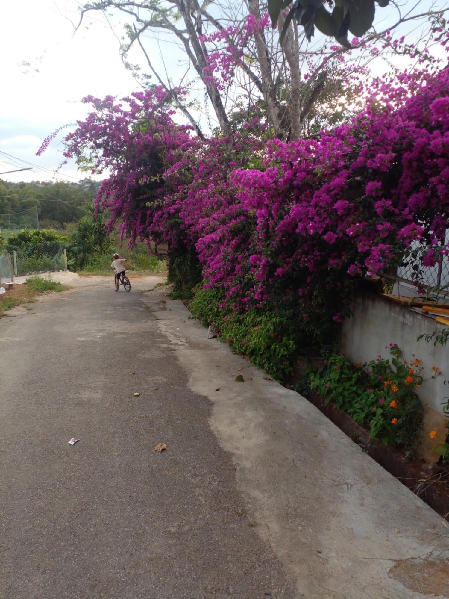 Ly'S Homestay Gia Nghia Bagian luar foto