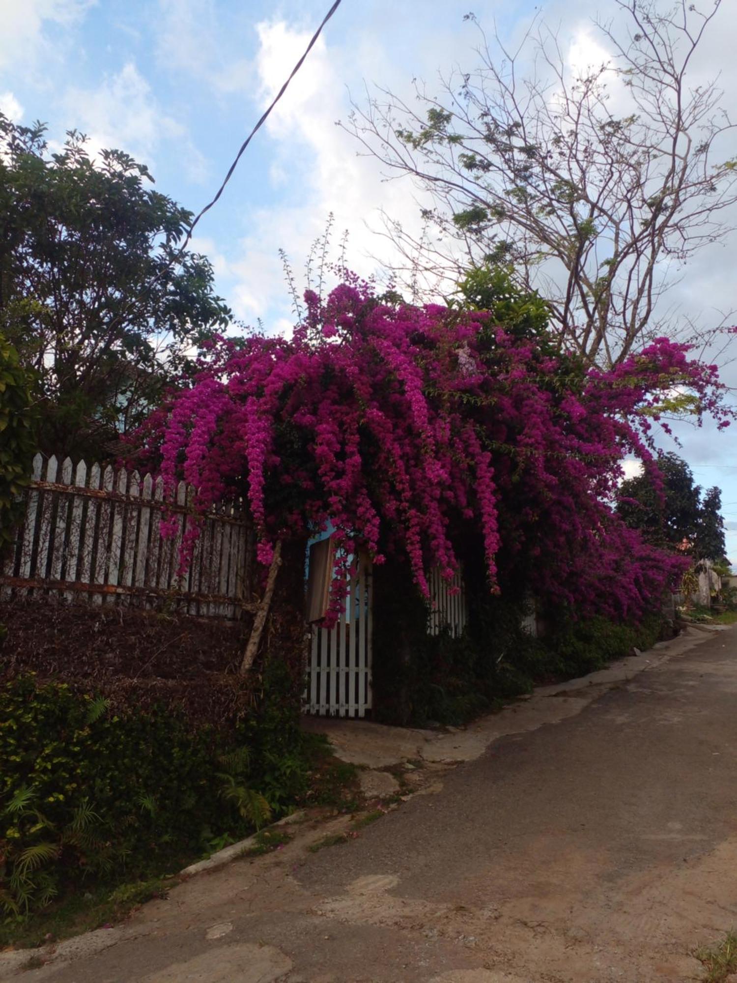 Ly'S Homestay Gia Nghia Bagian luar foto